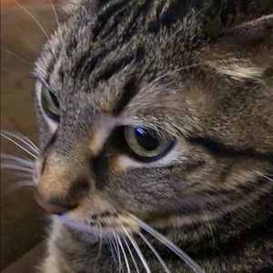 Meet your Posher, Connie